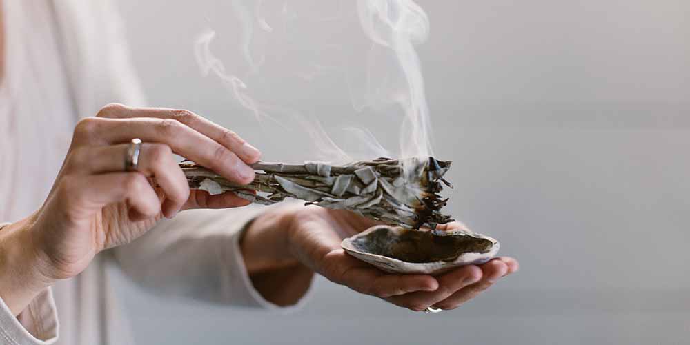 鼠尾草適合你嗎？