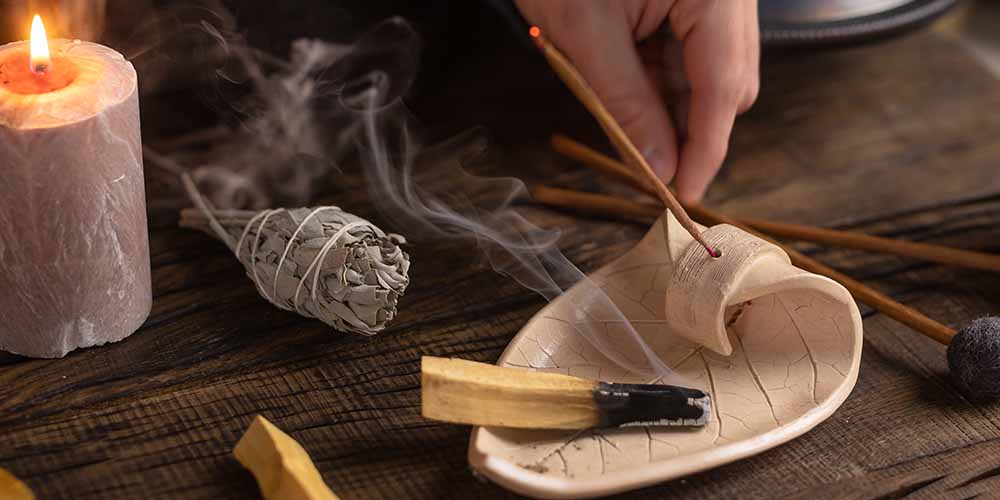 鼠尾草適合你嗎？
