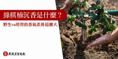綠棋楠沉香是什麼-s