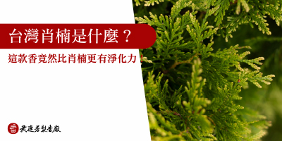 台灣梢楠是什麼-s