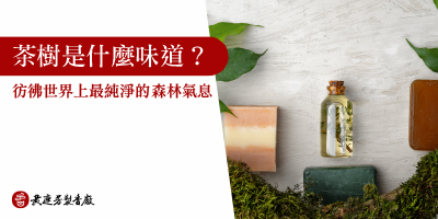 茶樹是什麼味道-s