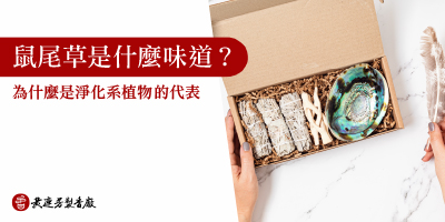 鼠尾草是什麼味道-s